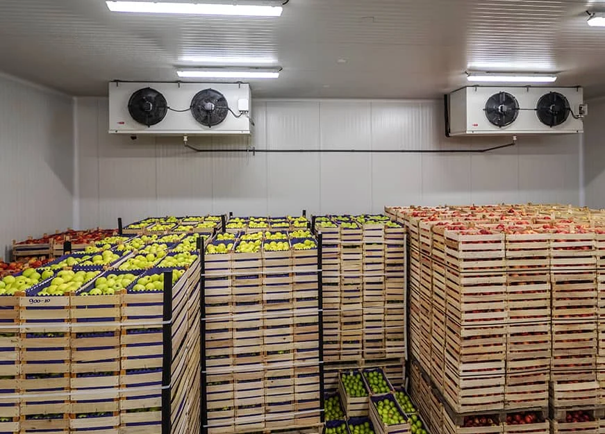 Perishable Produce Logistics